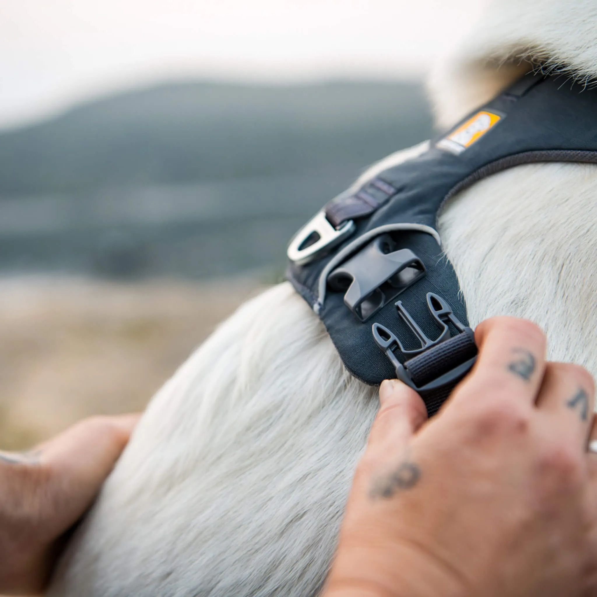 Ruffwear Front Range Harness for Dogs