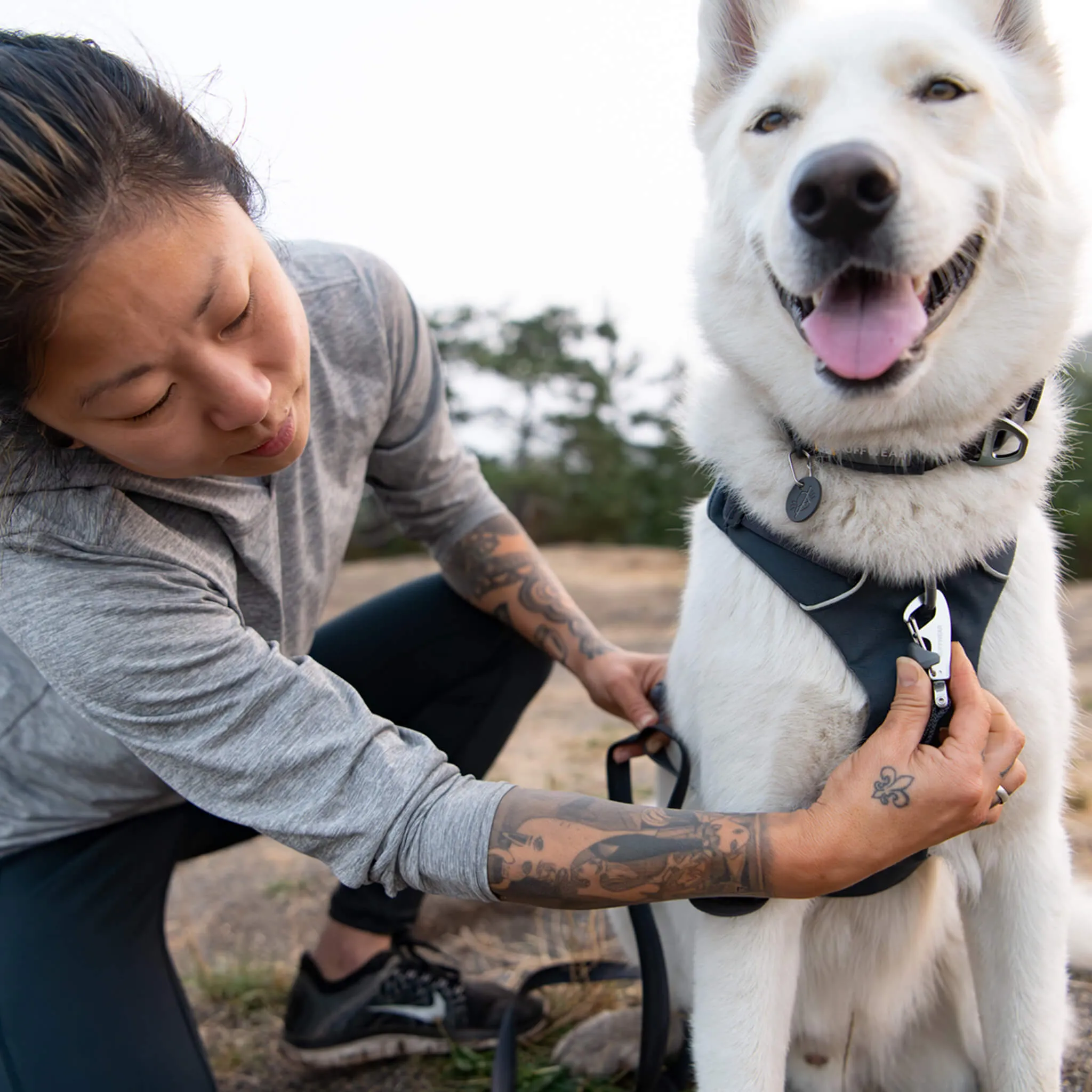 Ruffwear Front Range Harness for Dogs