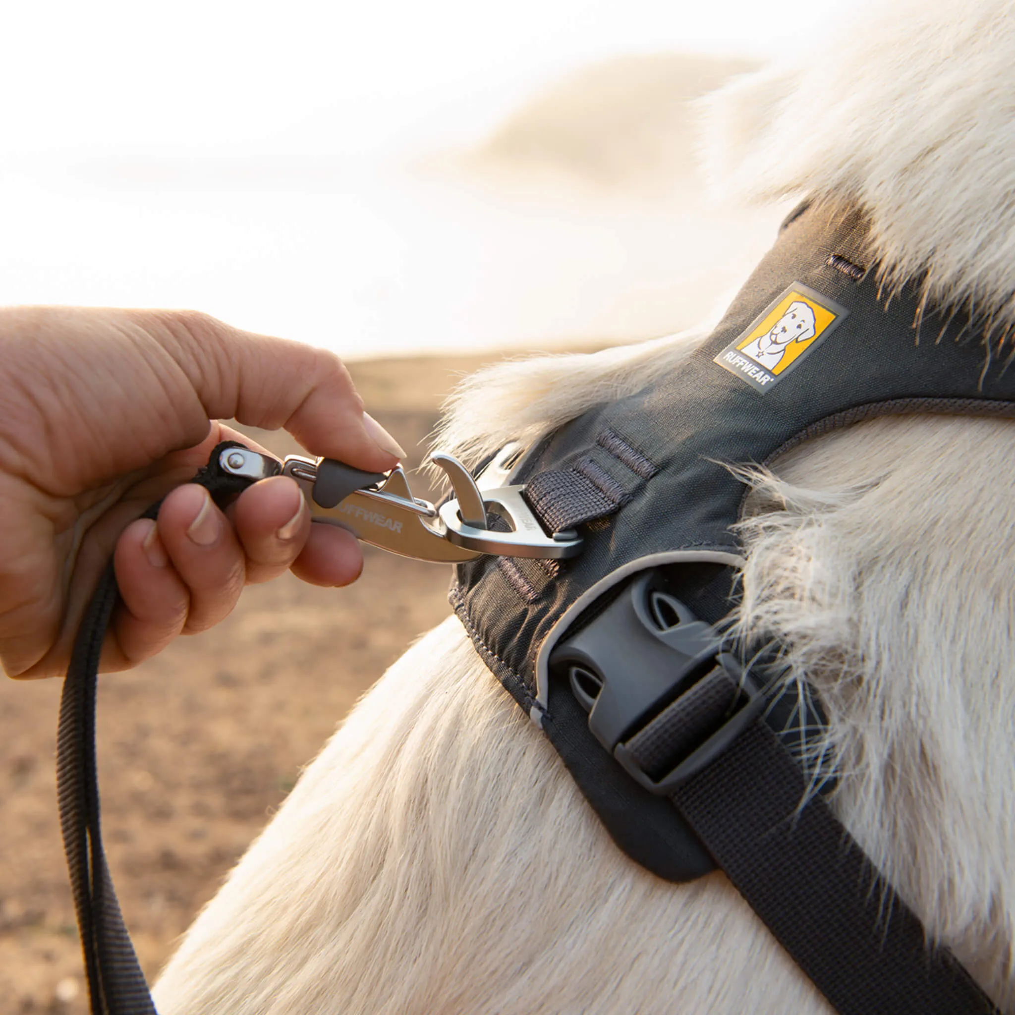 Ruffwear Front Range Harness for Dogs