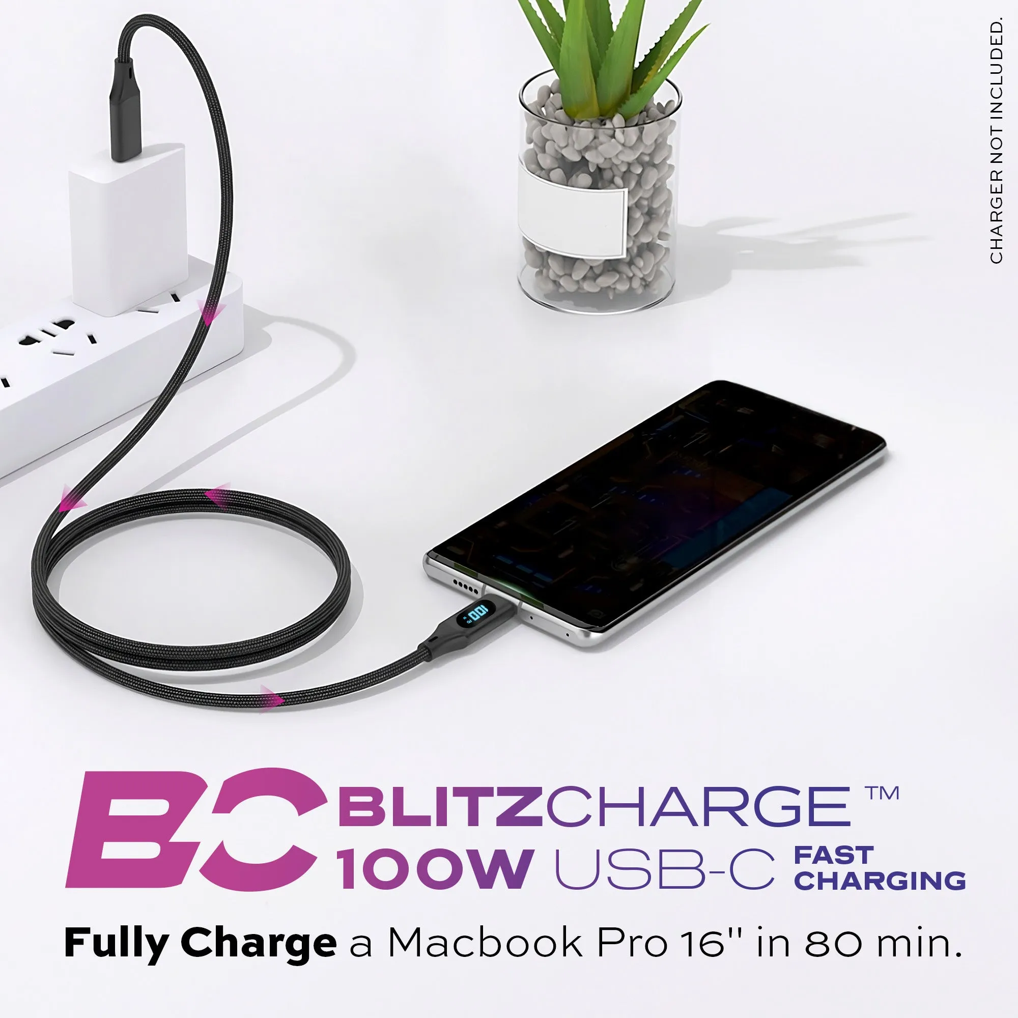 TruCharge™ | USB-C Cable | 3ft